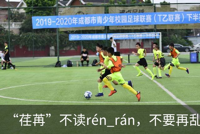 “荏苒”不读rén rán，不要再乱读了，我出过丑!