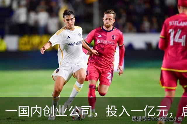 一国内创业公司，投入一亿元，启动Fellows人才计划
