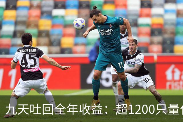 九天吐回全年收益：超1200只量化私募净值跌至“水下”
