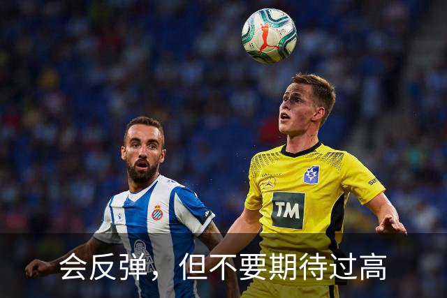 会反弹，但不要期待过高