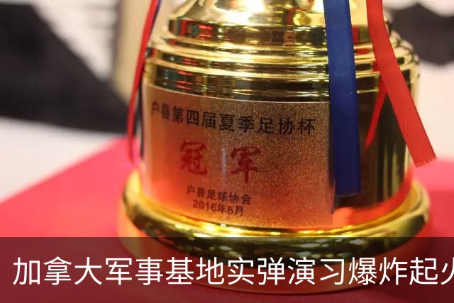 加拿大军事基地实弹演习爆炸起火，遇上时速超100公里狂风！当地正举行“脱加”公投