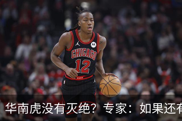 华南虎没有灭绝？专家：如果还有，最可能在山西，不在广东福建