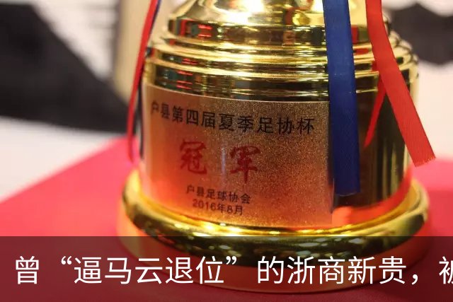 曾“逼马云退位”的浙商新贵，被抓了