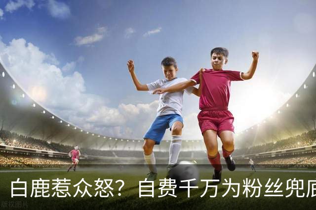 白鹿惹众怒？自费千万为粉丝兜底遭围攻，看清内幕才知她有多清醒