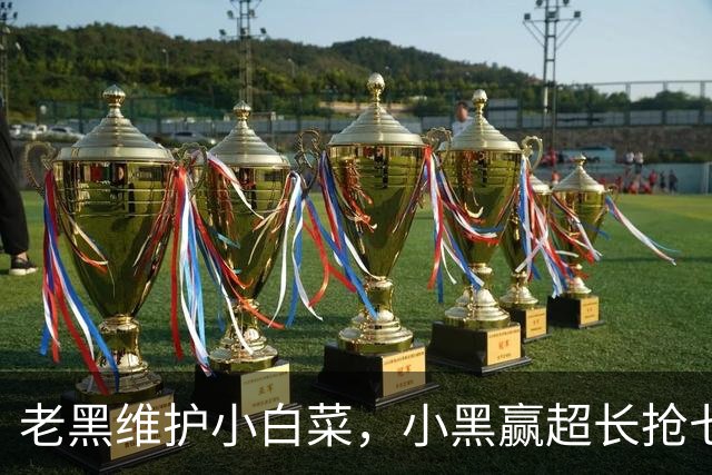 老黑维护小白菜，小黑赢超长抢七，莱巴盼拿法网，六金花战资格赛
