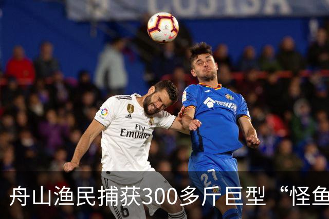舟山渔民捕获300多斤巨型“怪鱼”，已放归大海，经辨认系翻车鱼，是已知世界上生殖力最强的脊椎动物；网友：以为是一块大石头