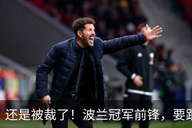 还是被裁了！波兰冠军前锋，要跟杨瀚森说再见！
