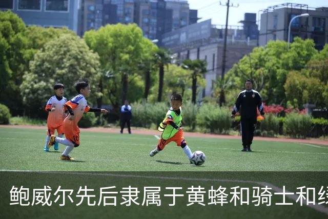 鲍威尔先后隶属于黄蜂&骑士&绿军 最终与隆多一起被交易至独行侠