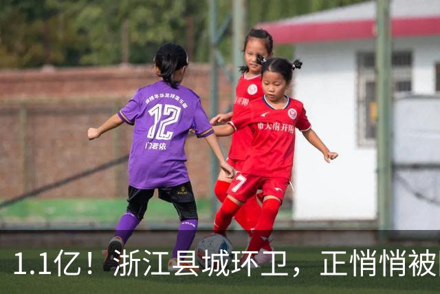 1.1亿！浙江县城环卫，正悄悄被国资平台收编
