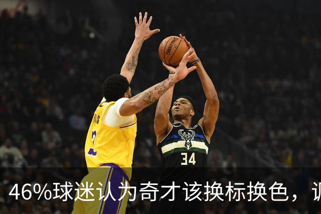 46%球迷认为奇才该换标换色，调查结果出炉