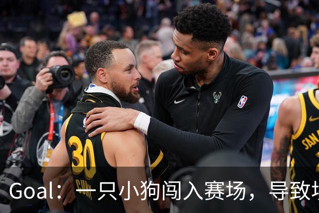Goal：一只小狗闯入赛场，导致埃及联赛中断