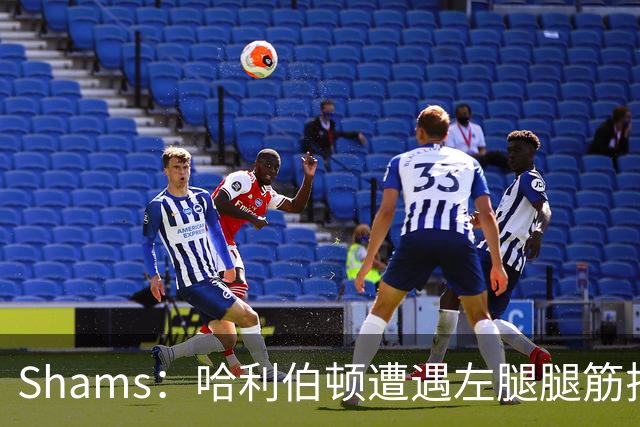 Shams：哈利伯顿遭遇左腿腿筋拉伤 将至少缺席两周
